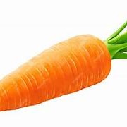Carrot